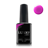 Luxio Chi-Chi (c)