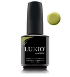 Luxio Agave (c)