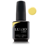 Luxio Playful (c)